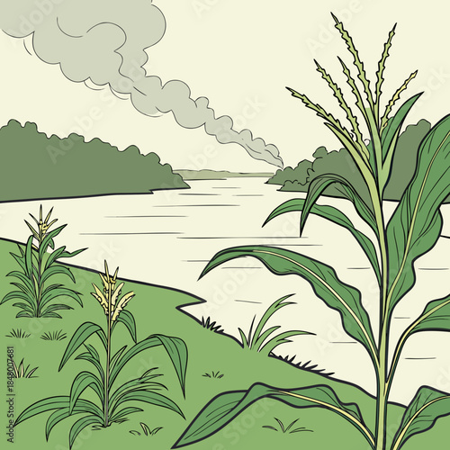Corn plants by a polluted river with smokestack clouds