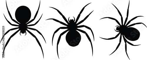 Silhouette illustration of three spiders with detailed legs and body shapes, black vector insect icons for nature, wildlife, and design elements