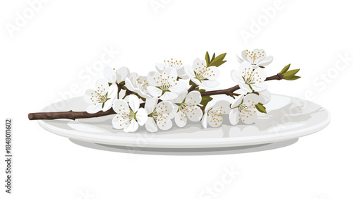 Delicate white cherry blossoms are beautifully arranged on a simple white plate, creating a serene and elegant still life composition.