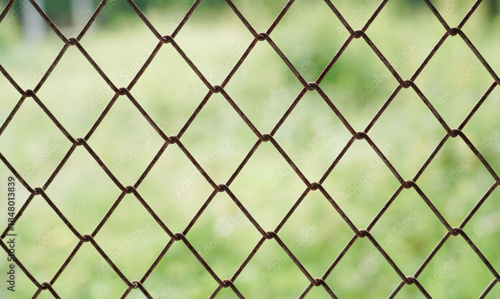 Naklejka premium Old wired mesh fence for web design and architect, Green garden behind wire mesh fence that is linked together. Close up.