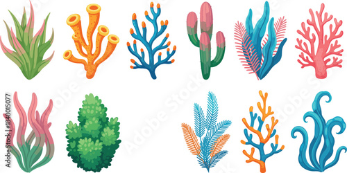 A diverse vector set featuring stylized coral reefs and underwater aquatic plants in vibrant colors and textures, perfect for marine biology, ocean conservation, and aquarium designs.