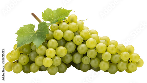 A cluster of green grapes with leaves on a black background
