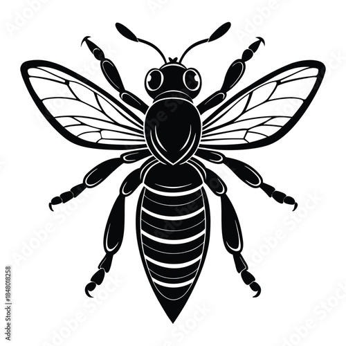 vector illustration of a bee