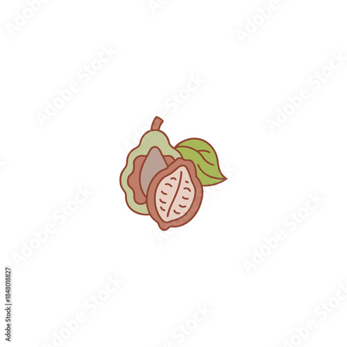 A-Monstera-deliciosa-fruits-icon-colored-outline-art-Vector Illustration