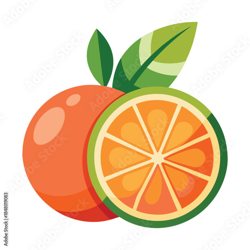 Fresh Orange Fruit Illustration