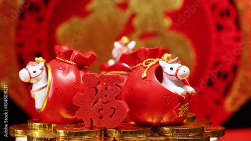 Year of the Horse Chinese New Year video footage