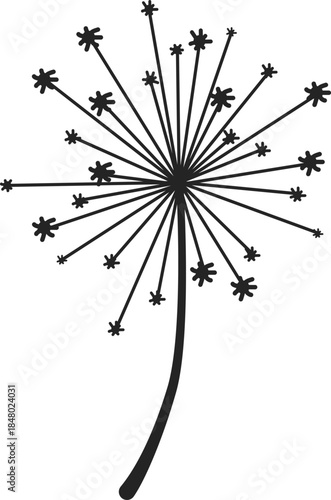 Dandelion seed head vector drawing illustration