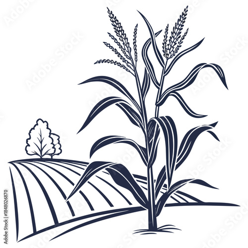 Illustration of a wheat field