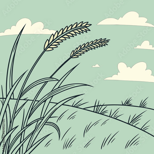 Wheat fields under cloudy sky