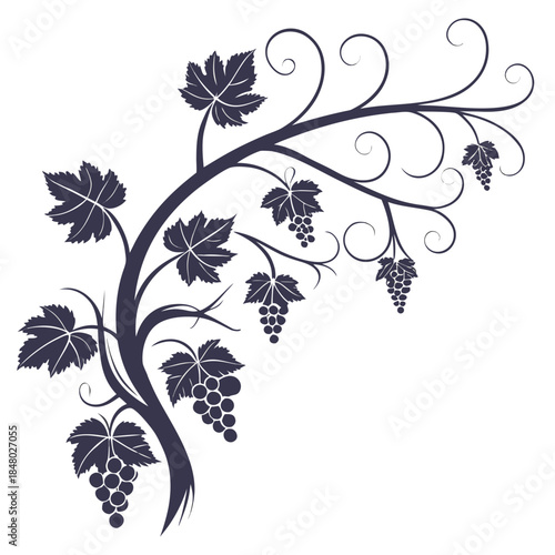 Elegant grape vine silhouette