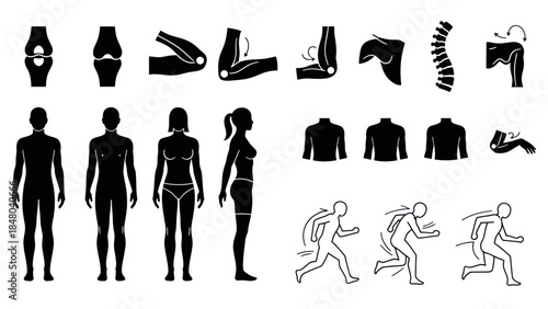 Human anatomy illustrations depicting skeletal structure and body movements