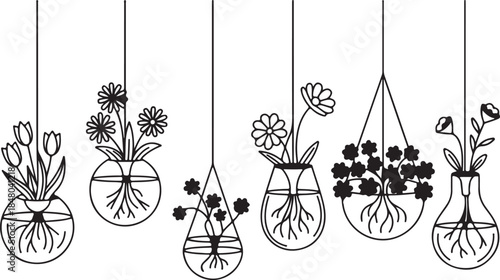 Hanging glass vases with flowers and roots illustration collection isolated on white background vector