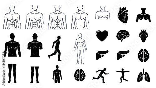 Human anatomy illustrations depicting the body organs and various activities