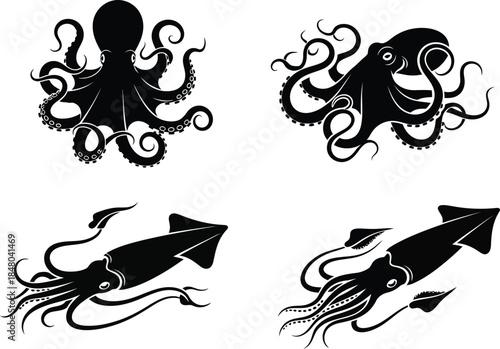 Black octopus and squid illustrations vector graphics on transparent background