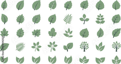Collection of diverse leaf types and shapes