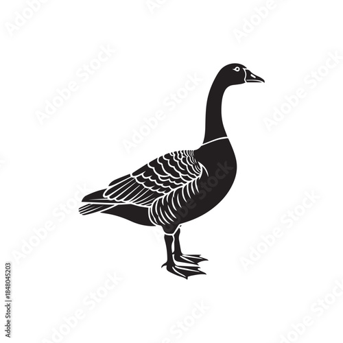 canada goose line art silhouette vector illustration