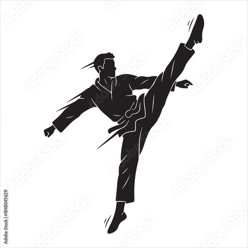 Martial artist performing high kick isolated on white background, Vector