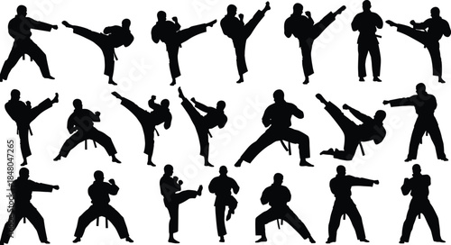 Martial Arts Karate Silhouettes Set, Fighter Poses, Kickboxing Taekwondo Vector, Combat Sports Outlines
