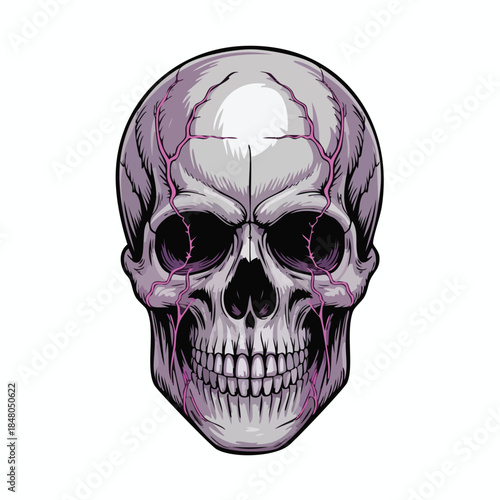 Purple Shaded Skull Illustration for Graphic Design.
