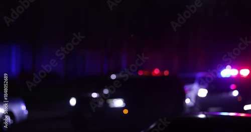 Abstracted illuminated night view of police units on a city street.