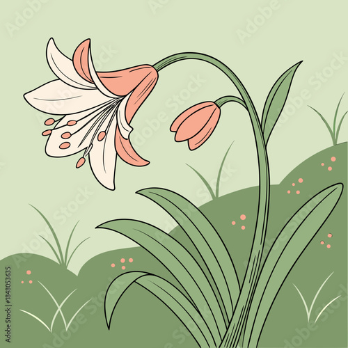 Pink and white flower with green leaves and stems on light green background