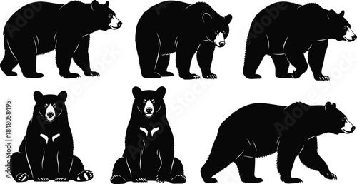 Black bear silhouette collection showing standing, walking, and sitting poses, wildlife animal illustration set for nature, forest, and design projects
