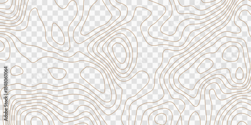 Abstract modern stylized gold and grey white curve wave line smooth stripe white PNG background. Use for banner, business, presentation illustration.