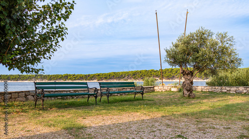 Coastal Park with Benches and Trees