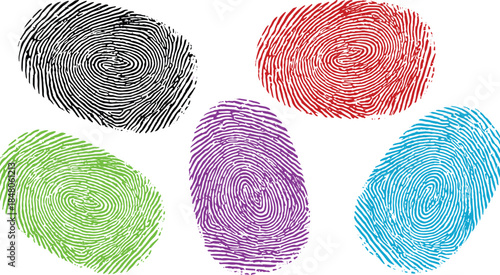 Colorful fingerprint set in circular layout with unique ridge patterns for identity, biometrics, and forensic design use.