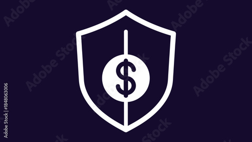symbolic shield representing financial protection and data security concepts