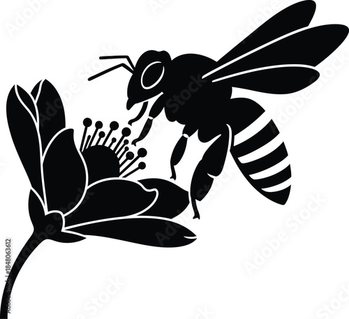 Bee feeding on flower