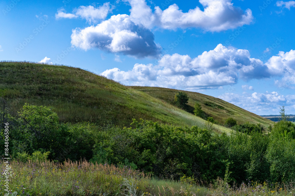 Obraz premium Hills with meadows and forests.