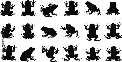 Frog silhouettes collection featuring multiple amphibian poses, ideal for wildlife, nature, vector icons, animal illustration and design projects