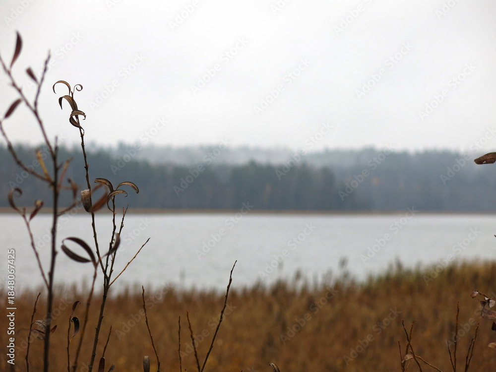 Obraz premium foggy autumn lake in a National Park in the Smolensk Region, Russia