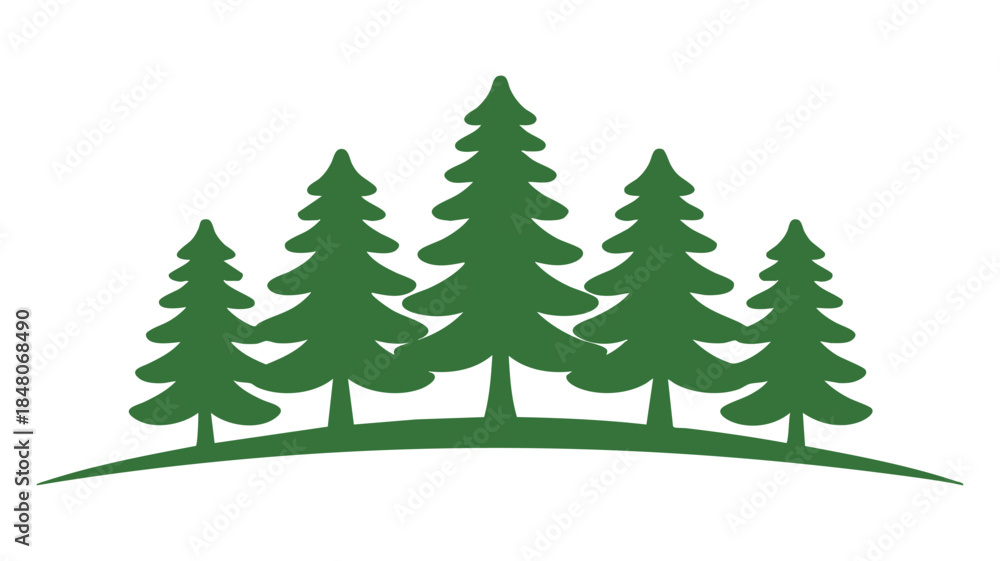 Obraz premium Forest of tall pine trees Vector