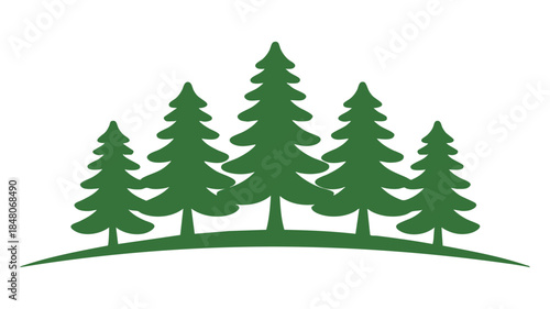 Forest of tall pine trees Vector