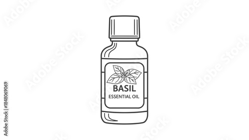 Line art illustration of a bottle containing basil essential oil with basil leaves on label