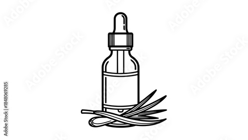 Isolated line art illustration of a dropper bottle with leaves, representing natural wellness