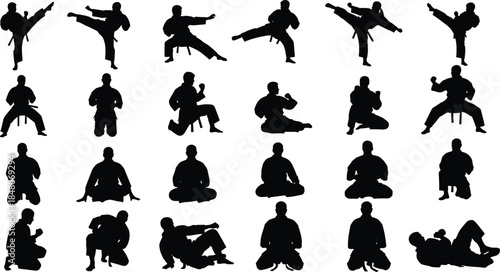Martial arts fighter silhouettes performing karate, taekwondo, and combat training poses, showcasing strength, discipline, balance, and self defense techniques illustration