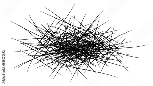 Abstract chaotic tangle of thin black lines on a white background, representing complexity