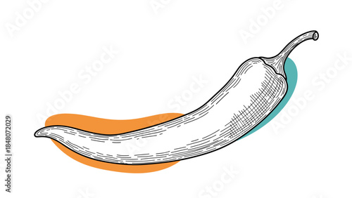 Hand-drawn sketch of a hot chili pepper with modern orange and teal color block shapes, isolated on a clean white background.