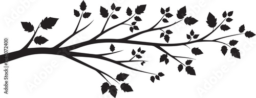 Simple silhouette of a tree branch with delicate leaves on a plain backdrop