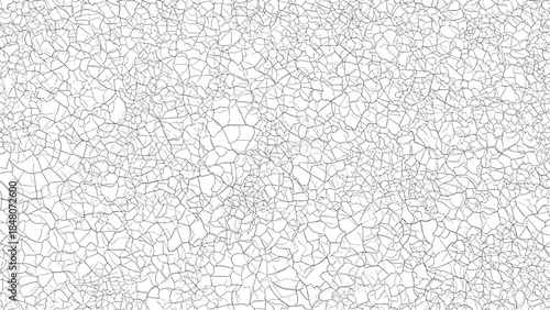 Abstract white background with a subtle, intricate network of thin gray lines creating a cracked ice or crystalline texture effect.