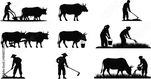 Rural farming silhouettes featuring farmers plowing fields with oxen, illustrating traditional agriculture, farm labor, harvest work and countryside lifestyle