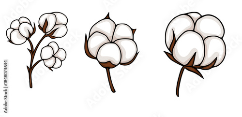 Charming vector illustrations of fluffy cotton bolls on brown stems, presented in a clean, isolated style with bold outlines and a pure white background.