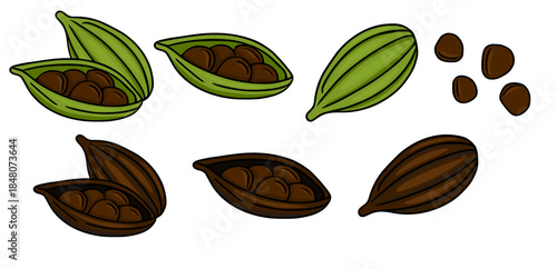 A vibrant vector illustration showcasing whole and split cardamom pods, revealing aromatic seeds, presented in both fresh green and rich brown hues.