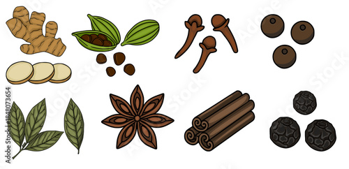 A charming vector illustration of various whole and sliced spices, including ginger, cardamom pods and seeds, cloves, peppercorns, bay leaves, star anise, and cinnamon sticks, presented individuall...