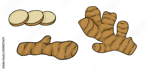 Flat vector illustration of ginger root and slices in a clean, simple style.