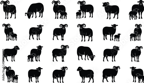 Sheep and lamb silhouette collection showing farm animals in multiple poses, rural livestock illustration set isolated on white background