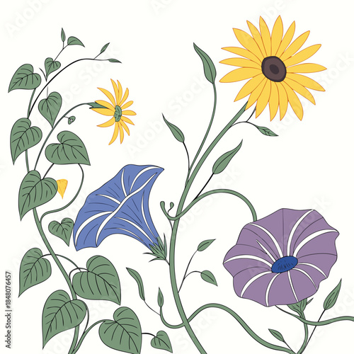 Morning glory flowers blooming with sunflowers and leaves